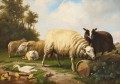 Eugene Verboeckhoven Schafe et Enten moutons